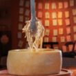 Brasil Sabor: Parque da Sementeira vira ponto de encontro da gastronomia sergipana