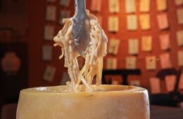 Brasil Sabor: Parque da Sementeira vira ponto de encontro da gastronomia sergipana