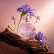 Com ingrediente raro da perfumaria internacional, O Boticário redefine o amadeirado feminino no lançamento de Liz D’Essence 