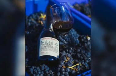 O homem que enganou as videiras para mudar a história do vinho brasileiro