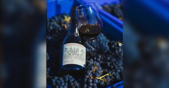 O homem que enganou as videiras para mudar a história do vinho brasileiro