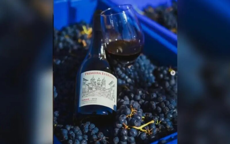 O homem que enganou as videiras para mudar a história do vinho brasileiro