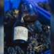 O homem que enganou as videiras para mudar a história do vinho brasileiro