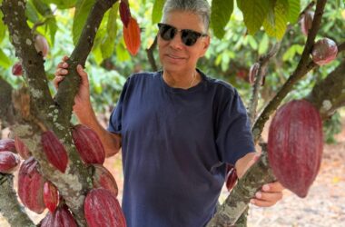 Nova fase do cacau brasileiro pode consolidar qualidade, competitividade e valor agregado