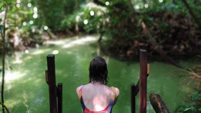 Praias paradisíacas, imersão na floresta e cultura: viva a essência de Alter do Chão