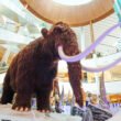 Shopping Jardins recebe a exposição gratuita “Gigantes do Gelo”