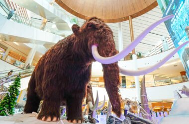 Shopping Jardins recebe a exposição gratuita “Gigantes do Gelo”