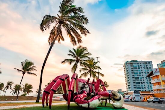 Aracaju é destaque nacional na geração de empregos e lidera 20 atividades econômicas em Sergipe