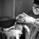 Leite materno fortalece o cuidado neonatal