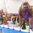 Shopping Jardins: fim de semana com exposição, circo e cinema