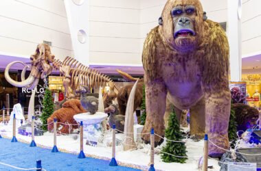 Shopping Jardins: fim de semana com exposição, circo e cinema