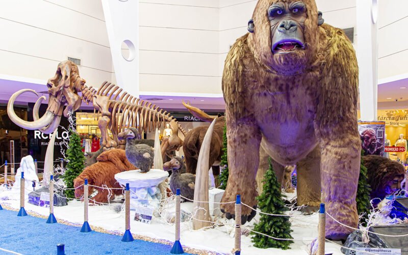 Shopping Jardins: fim de semana com exposição, circo e cinema