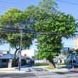 Prefeitura de Aracaju inaugura revitalização do Largo Professor Alcebíades Melo no conjunto Castelo Branco