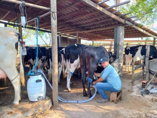 Produção de leite em Sergipe é a segunda que mais cresce no Nordeste