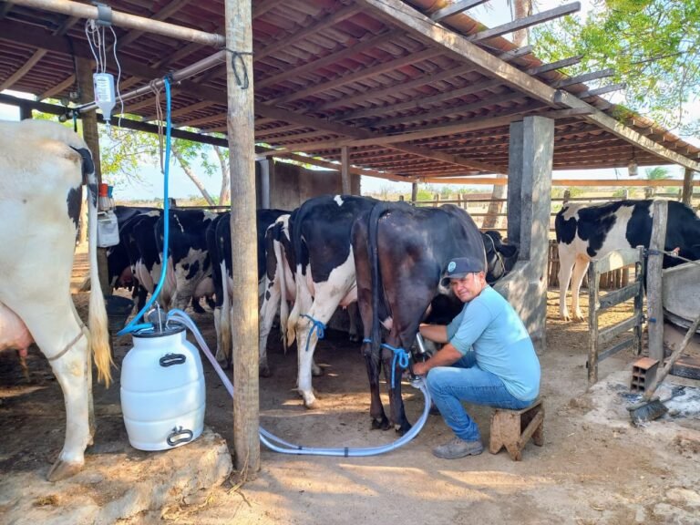 Produção de leite em Sergipe é a segunda que mais cresce no Nordeste